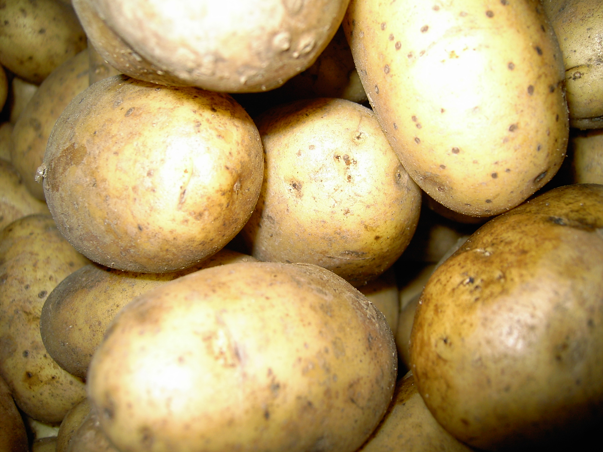 Kartoffler_002