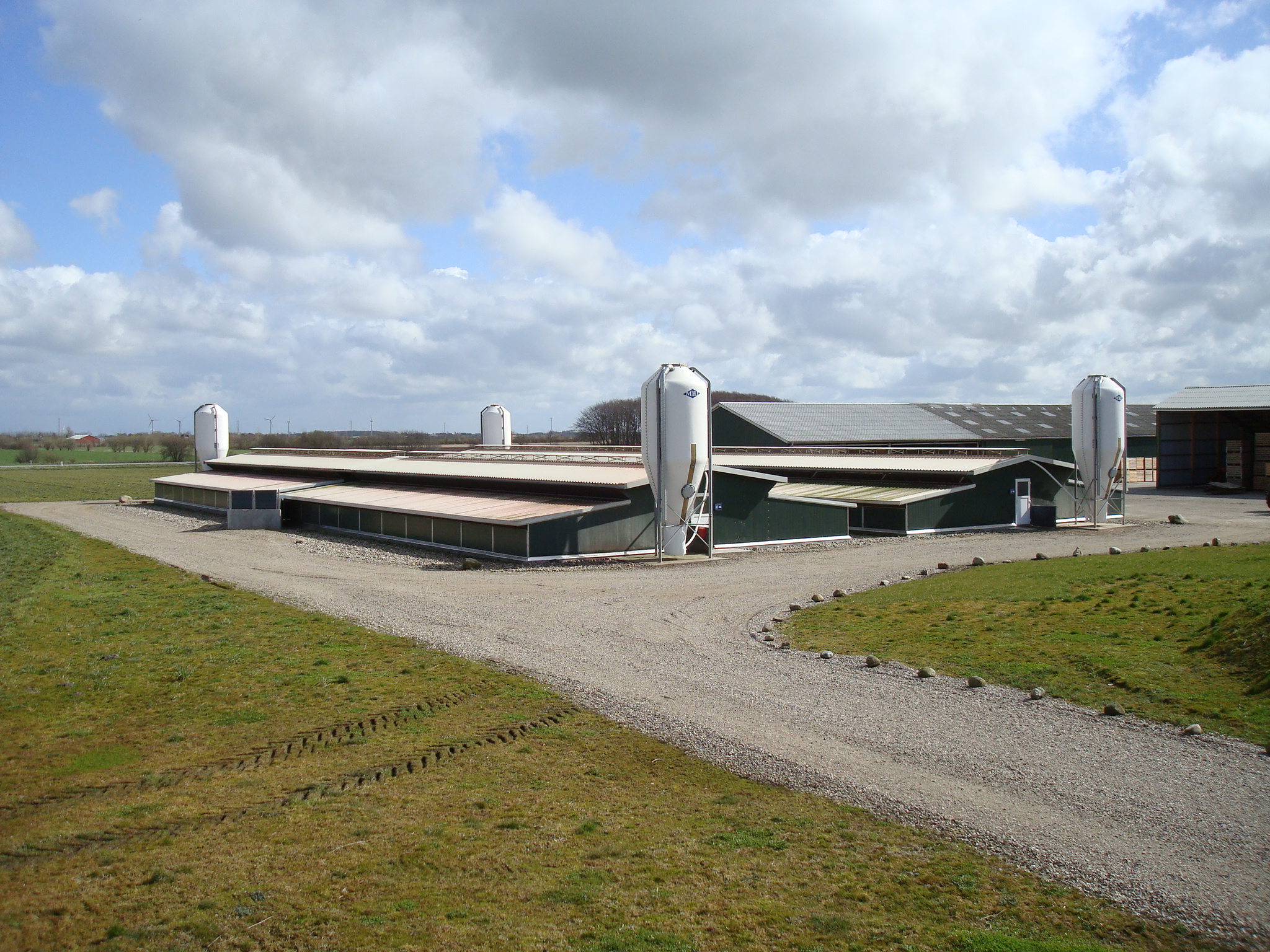 Neue_20Bilder_20023